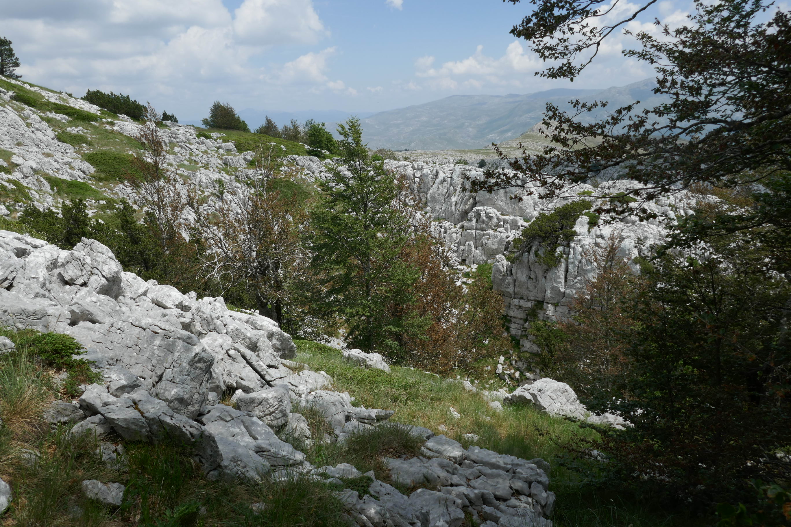krasový terén